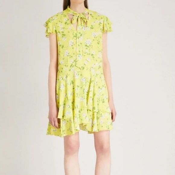 Plenty Flutter-Sleeve Mini Dress by Anthropologie - Picture 4 of 10